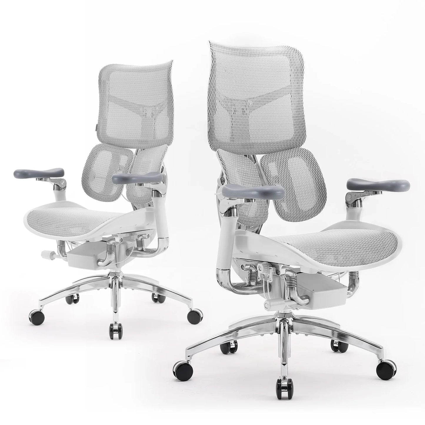 Ergonomic  Chair with Dual Lumbar Support 6D Armrests