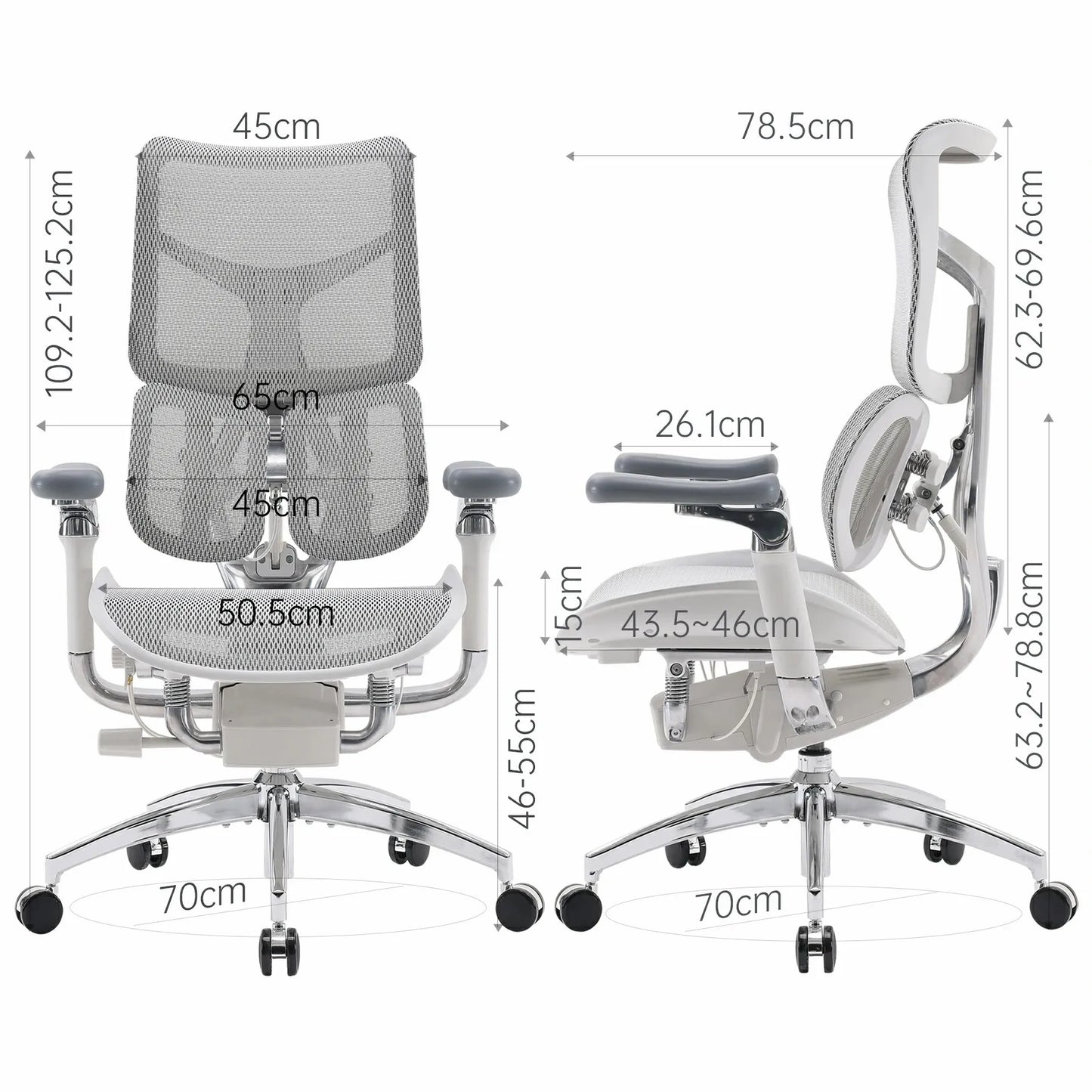 Ergonomic  Chair with Dual Lumbar Support 6D Armrests