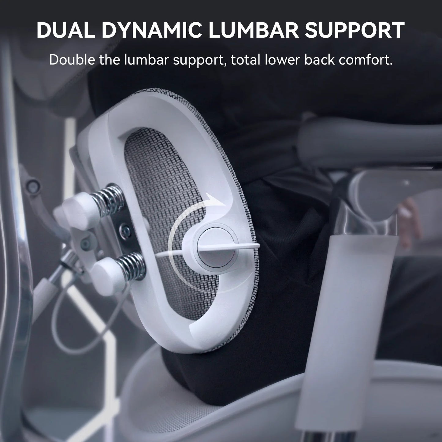 Ergonomic  Chair with Dual Lumbar Support 6D Armrests