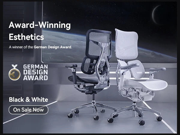 Ergonomic  Chair with Dual Lumbar Support 6D Armrests