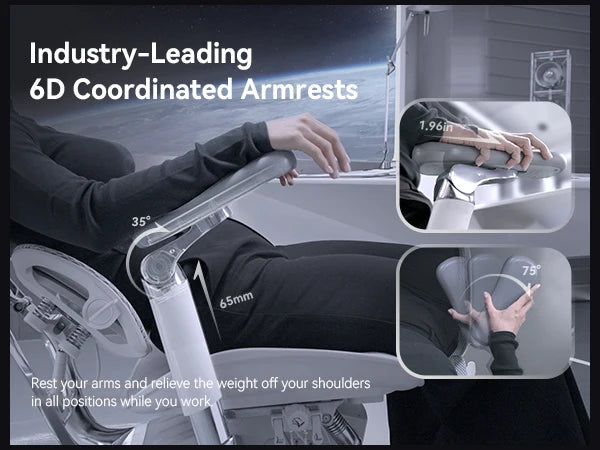 Ergonomic  Chair with Dual Lumbar Support 6D Armrests