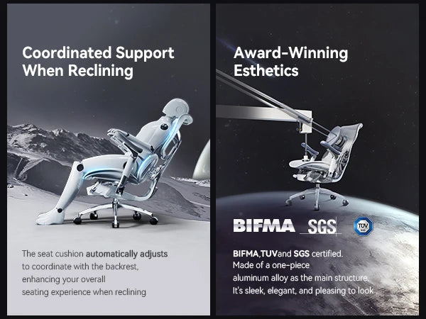 Ergonomic  Chair with Dual Lumbar Support 6D Armrests