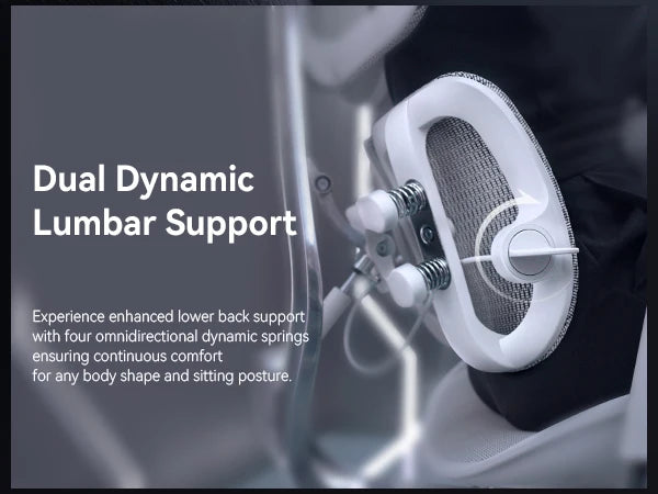 Ergonomic  Chair with Dual Lumbar Support 6D Armrests