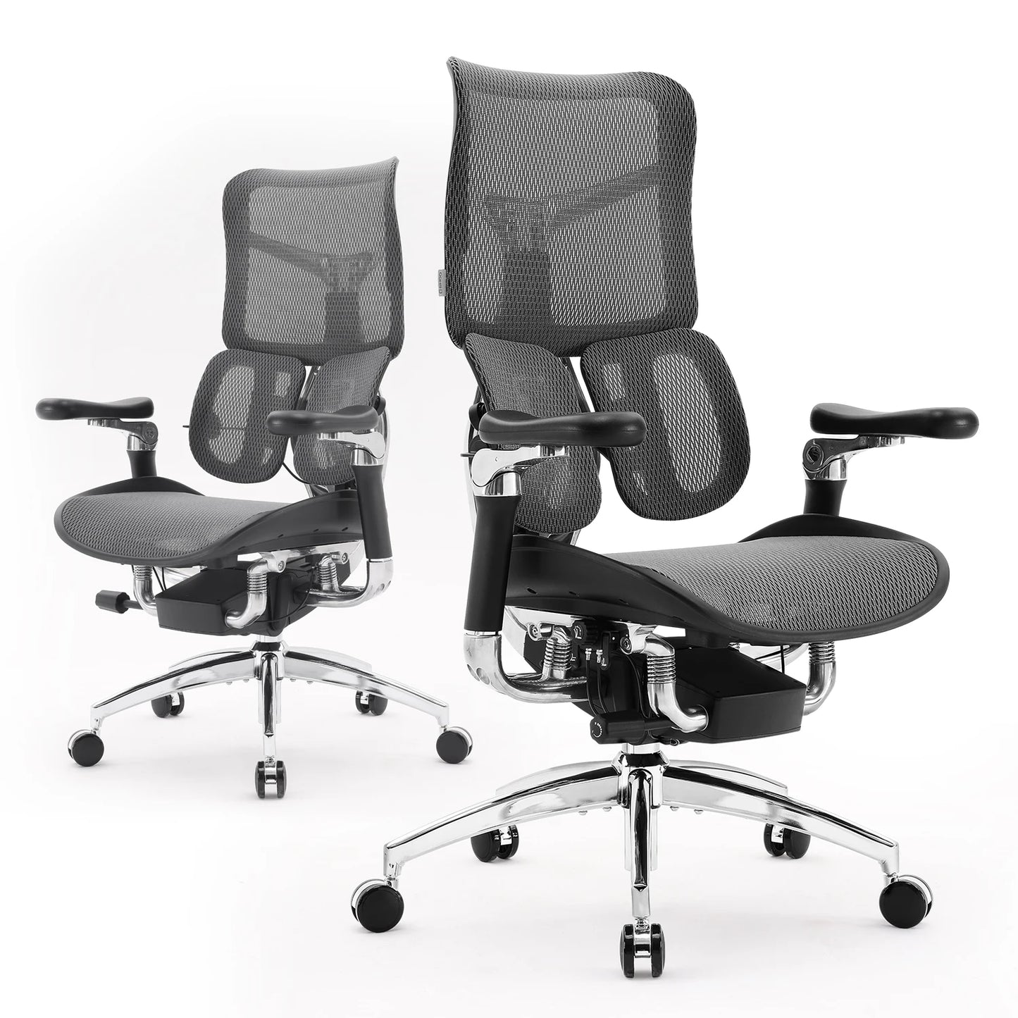 Ergonomic  Chair with Dual Lumbar Support 6D Armrests